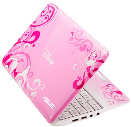 Disney netbook